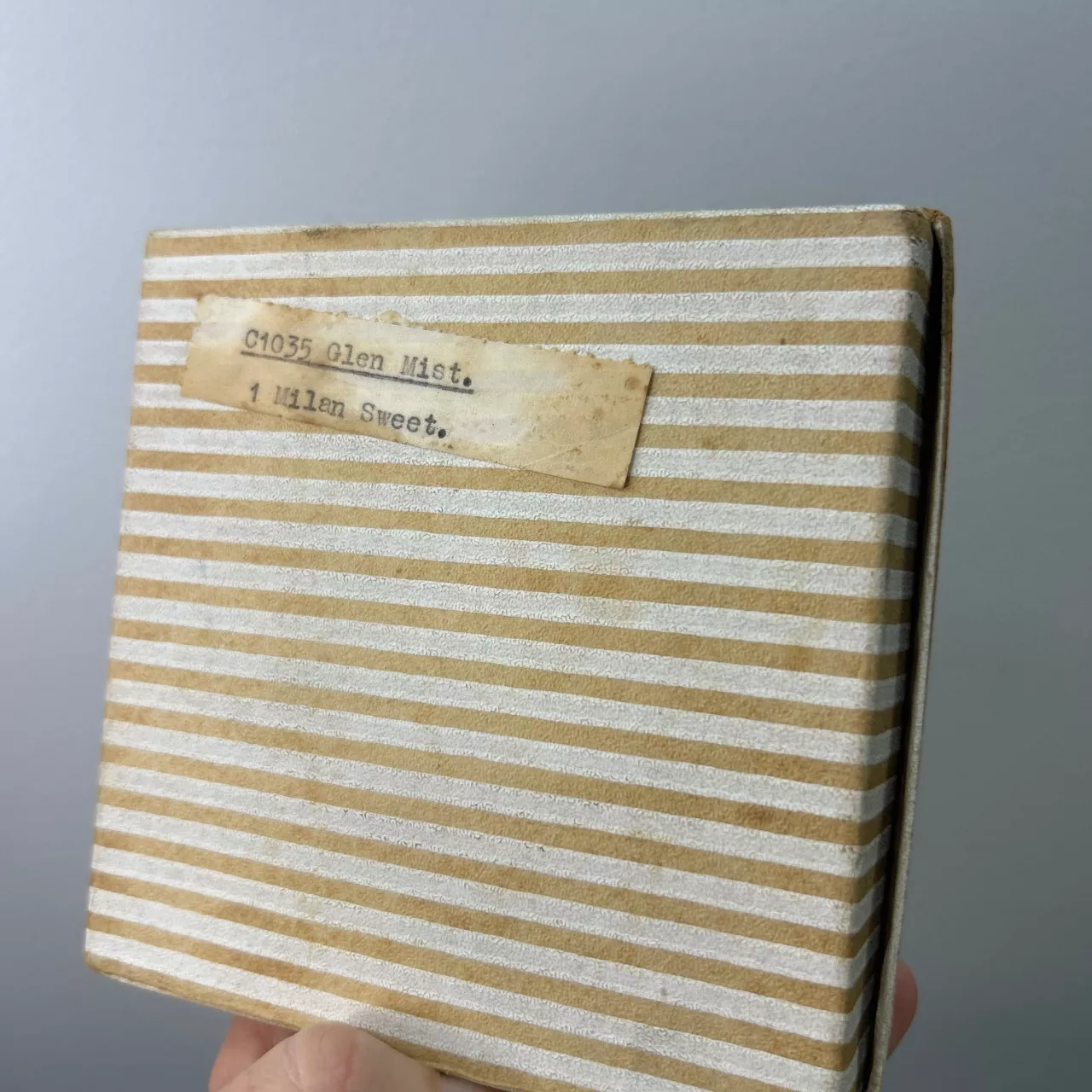 Image Tester