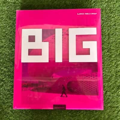 BIG by the Bjarke Ingels Group