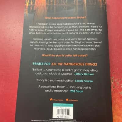 All the Dangerous things, Stacy Willingham 