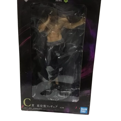 SH Figuarts Aoi Jujutsu