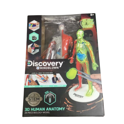 Discovery Mindblown (STEM 3D Human Anatomy Model) 