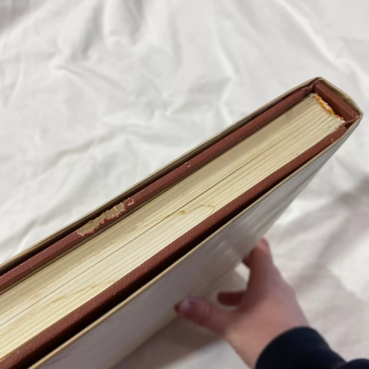 The Dreamtime Book - Australian Aboriginal Myths In Paintings By ...
