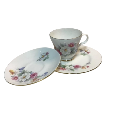 Regency Cup Saucer and Plate Bone China 