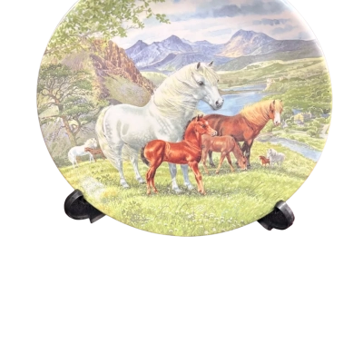 Davenport British Ponies Welsh Mountain Ponies Derek Braithwaite