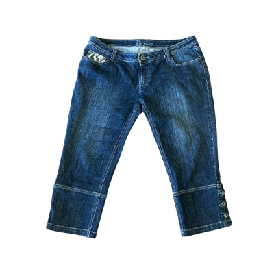Paint Lero Nicole Banisti Blue Denim Jean Shorts Size 14