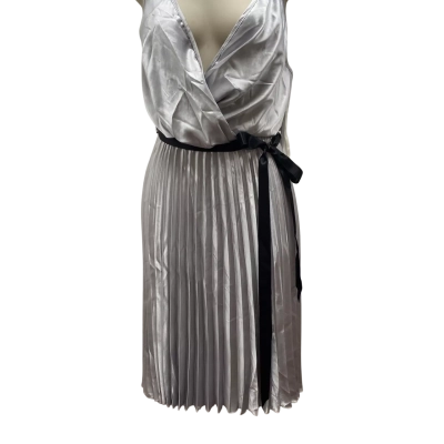 Review Silver Mini Dress   Size 6 