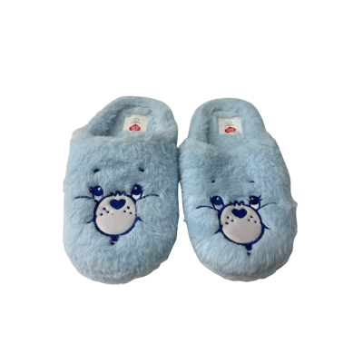 Care Bears   Size 38 Blue slippers 