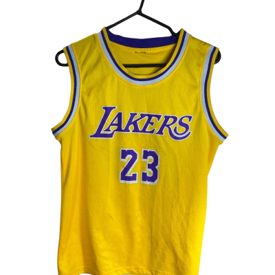 Lakers LeBron James Jersey + Shorts 