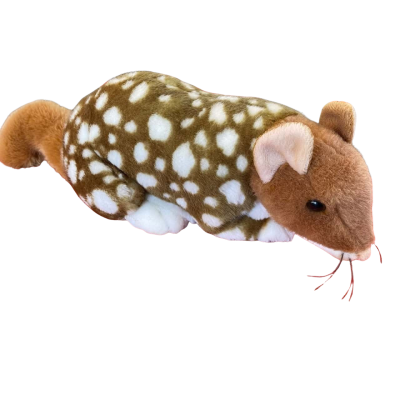 Bocchetta Quoll plush toy