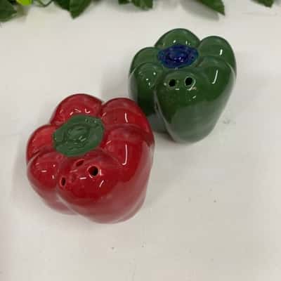 Capsicum Salt & Pepper Shakers
