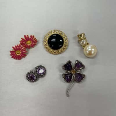  Women’s Super Pretty Costume Assorted Brooches & Earring 