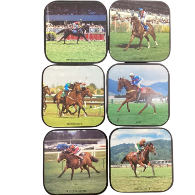 Vintage The Casa Collection 6 Coasters with Race Horse Pictures