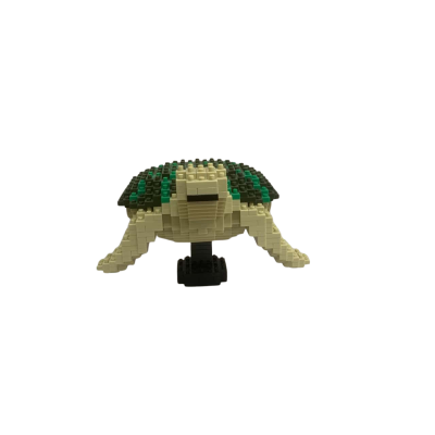JEKCA - Sea Turtle