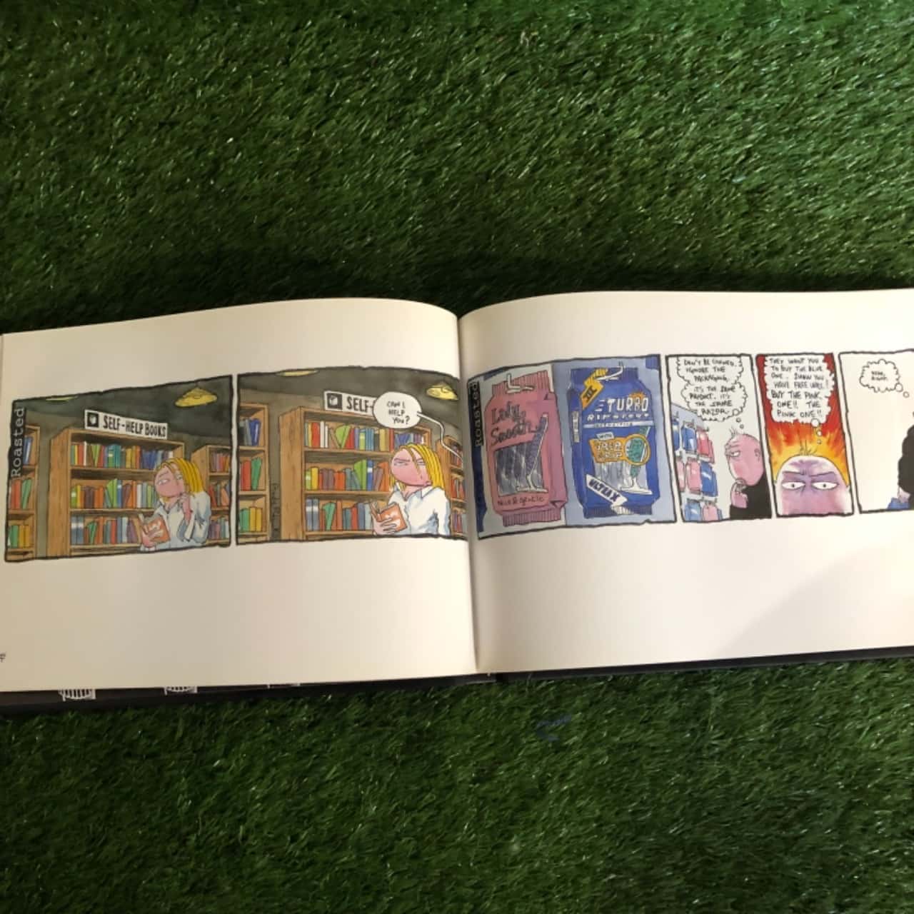 Roasted: a cartoon strip about stuff ... by Andy Riley (s)