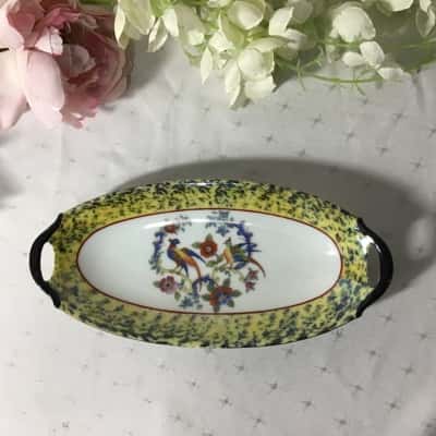 Moschendorf Bavaria Bird / Floral Pattern Oval Porcelain Dish