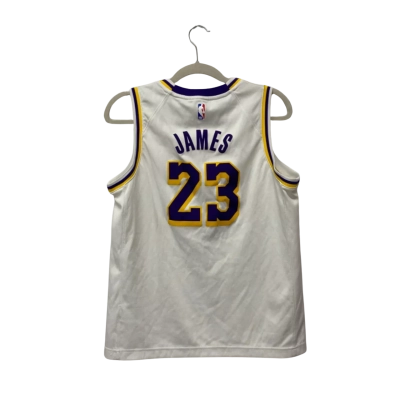 Nike Mens LeBron James Los Angeles Lakers Jersey Size L 