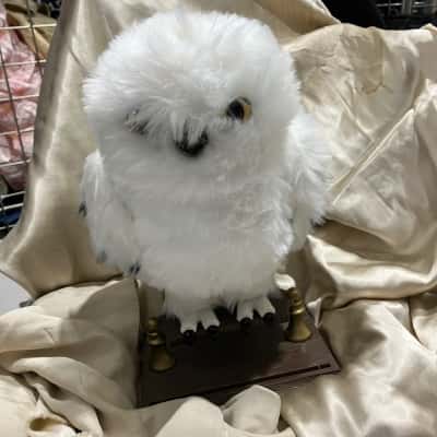 Harry Potter Wizarding World Enchanting Hedwig Owl