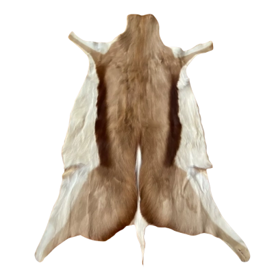 Springbok Deer Hide Rug