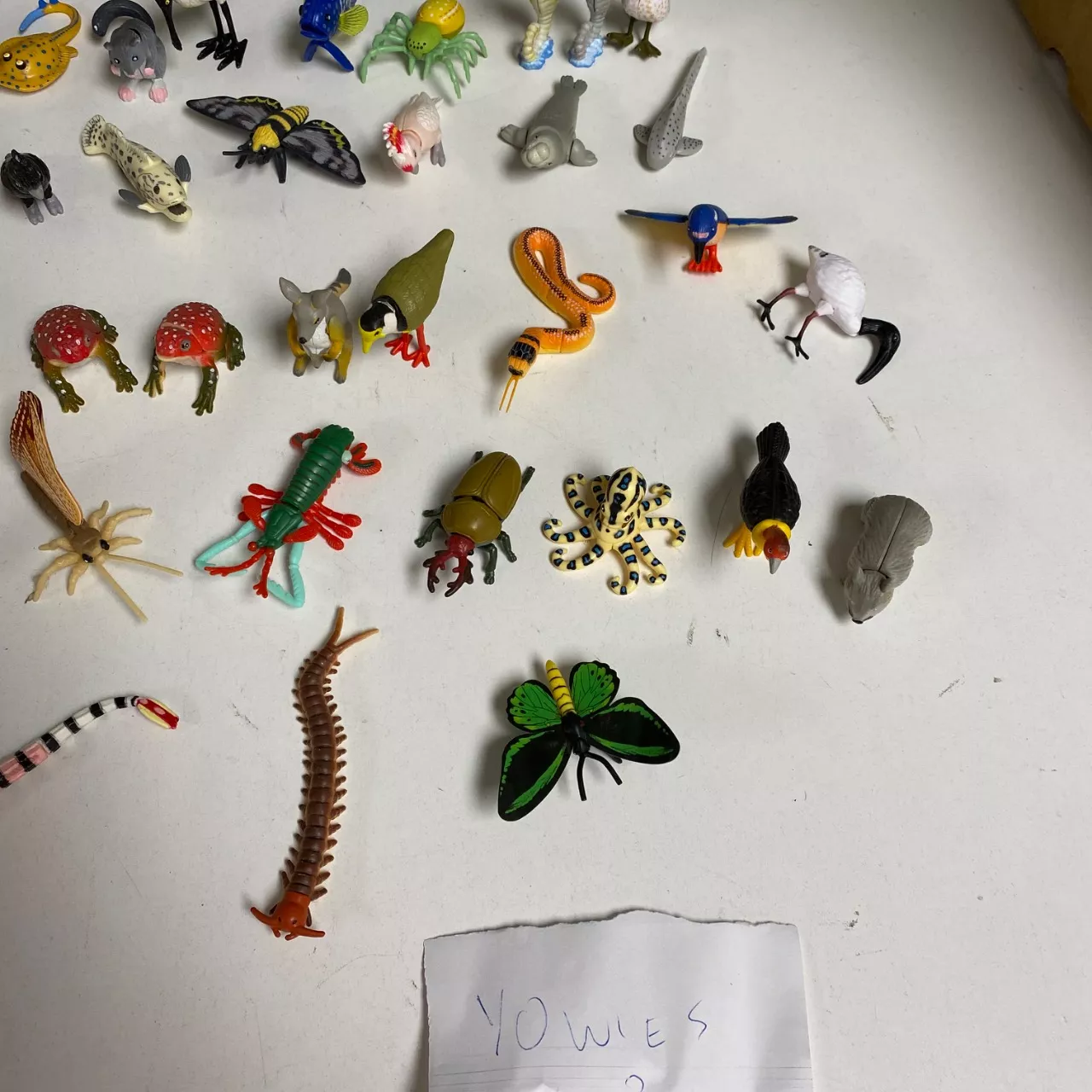 Image Tester