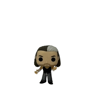 Funko Pop The Hardy Boyz WWE Matt Hardy
