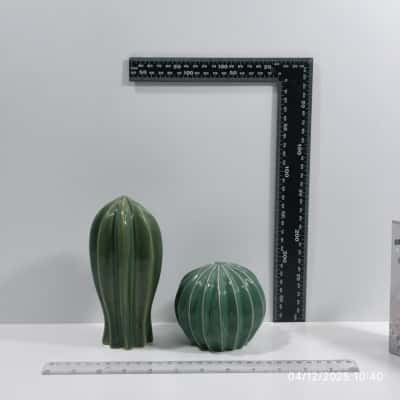 Cactus Duo PreOwned IKEA 