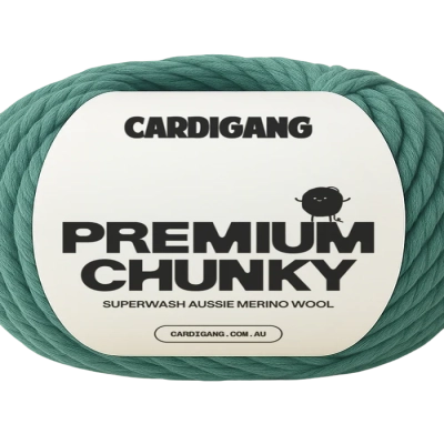 NEW - Cardigang Everyday Chunky Acrylic Yarn Thyme Green