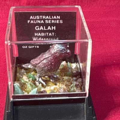 Australia Fauna Series Galah Displayed in a Clear Acrylic Case