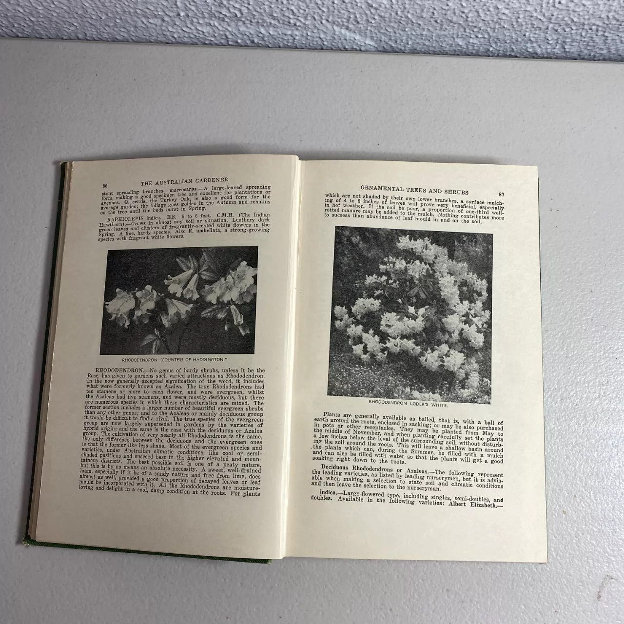Image Tester