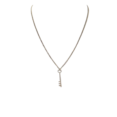 Silver 925 Skeleton Key Pendant (Display chain)