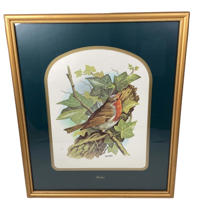 Vortigern Robin print in gold frame