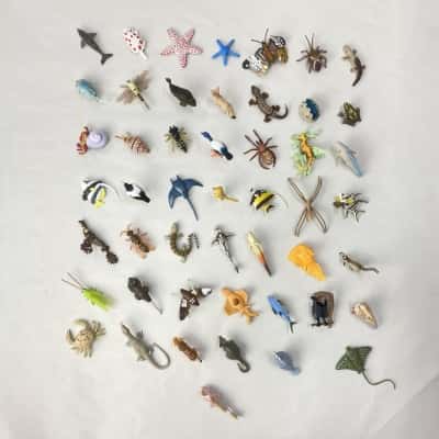 Collectable - Yowies Series 4 (Total Set - 49 out of 50) with Papers (Waved Albatross not included)