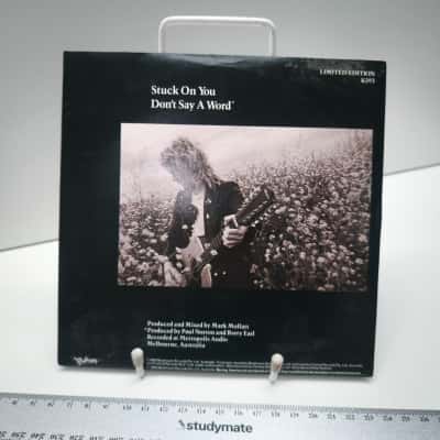 Paul Norton Stuck On You 1989 Limited Edition 7 Inch Vinyl Single Mushroom Records