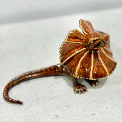 Golden Pond Ceramic Frilled Neck Lizard - just divine 