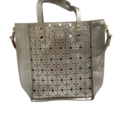 Steve Madden Women’s Silver Handbag with gold shoulder chain 