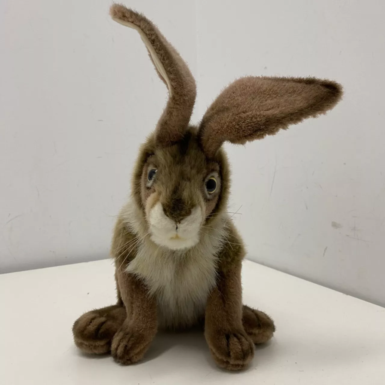 Toy Jack Rabbit Plush Realistic Jack Rabbit Plush Toy(s)