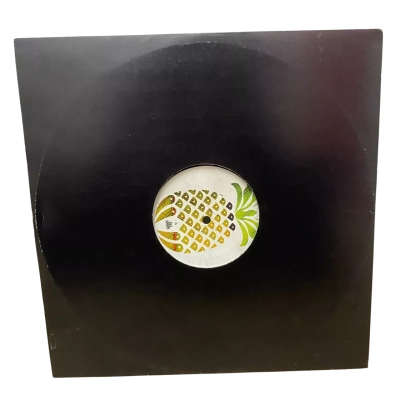 Shanti Celeste vinyl record