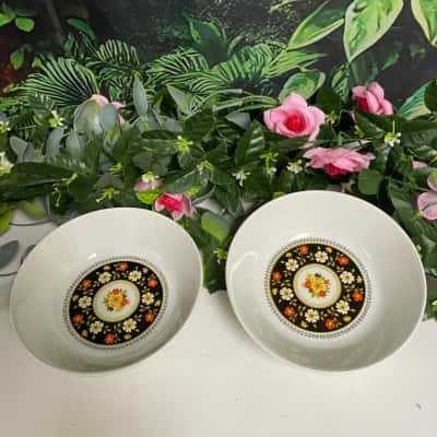 Made in England Ridgway Tyrol X2 beautiful bowls