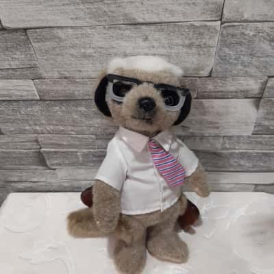sergei meercat