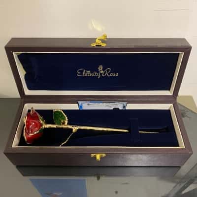 The Eternity Rose