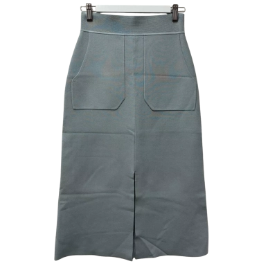 Saba Womens  Size XS Midi Skirt Mint/Pale Green