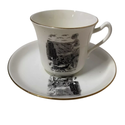 Vintage Grafton China porcelain cup and saucer -  The Gorge, MT Buffalo Vic