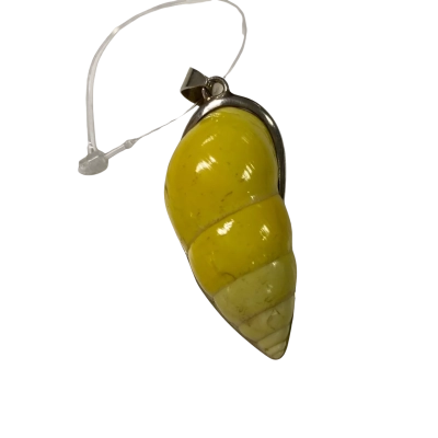 SS925 yellow Shell Set with silver backing