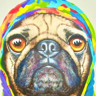 Maree Davidson “Pug for Life” Canvas Art Work-Just Fabulous  