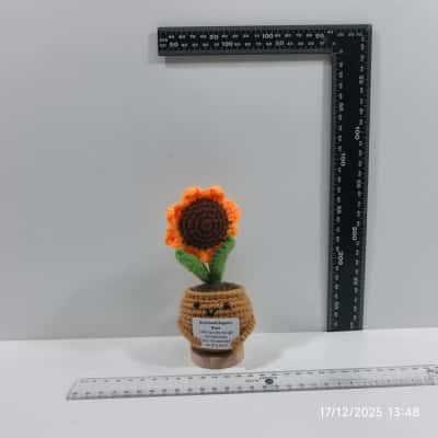 Emotional Support Plant Friend Toy 