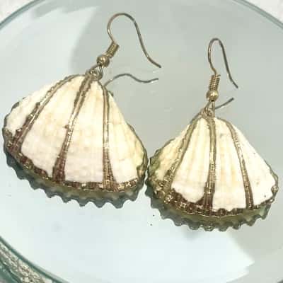 Bohemian Gold Detail Shell Earrings 
