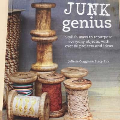 Junk genius