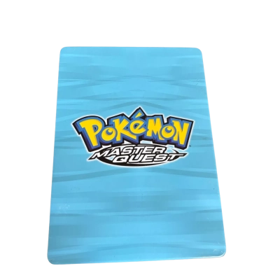 Pokémon - Master Quest - DVD set - 2013