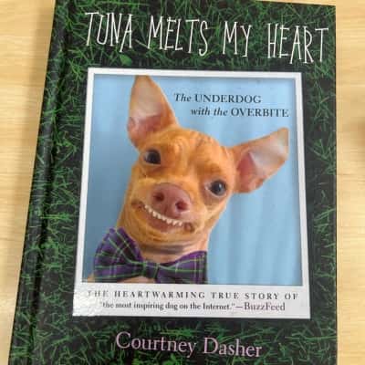 Tuna melts my heart, The underdog with overbite 