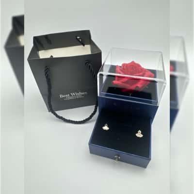  Best Wishes Shell & Clear Stone Earrings Gift Set (A)