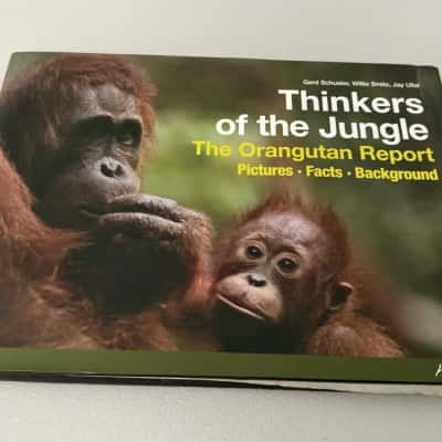 Thinkers of the jungle 